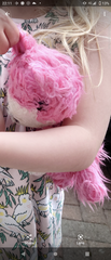 Help! Missing cuddly toy
