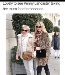 Memes, glorious memes!