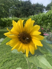 Show Us Your Pictures: 5 Alive
