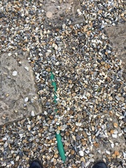What the heck? Installation of broadband-dug up drive, spray painting and bloody mess left