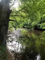 Any Witches Here? Part 14.