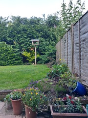 What would you do with this ugly corner?