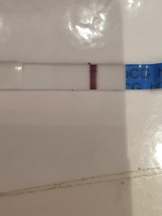 Chemical or pregnancy