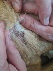 Any idea what this could be? (Photo)