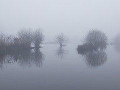 To move to Norfolk although I’ve never been