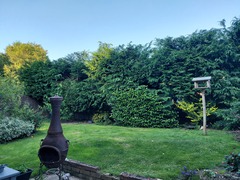 What would you do with this ugly corner?