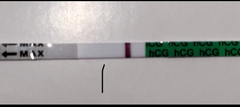 Faint positive after sterilised.