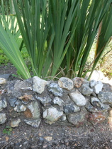 What is the name of this type of dry stone wall?