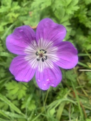 Show Us Your Pictures: 5 Alive