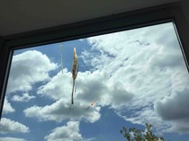 Disgusting window problem... Please help!