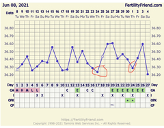🧙Witch day did I ovulate?!🧙