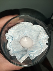 Can anybody identify this bird's egg?