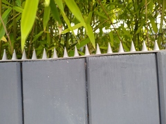 Caught neighbours using my garden