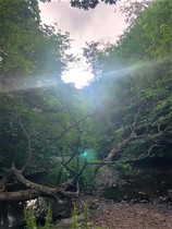 Any Witches Here? Part 14.