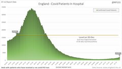 Good News 14: Keeping our spirits up, just a bit longer.