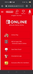 Nintendo online family account question