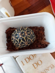 ADs don't want your freedom, ADs don't want to play around