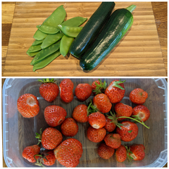 Allotment/Veg Patch Thread 16  Weather weirdness prevails !