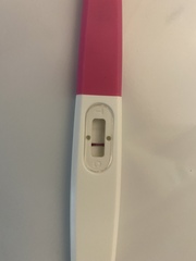 Pregnancy tests