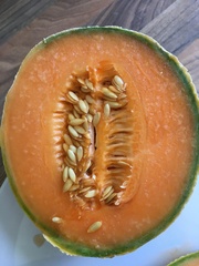 Is this melon ok or off?!