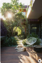 Help me plan my hard landscaping!
