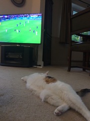 Westminstenders: Tachographs and Empty Shelves