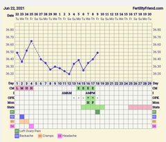 9DPO Symptom Spotting