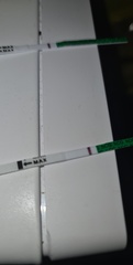 Cd25 of 26 line eyes so confused