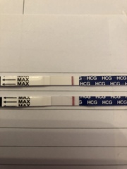 10dpo pregnancy tests?