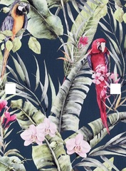 Which of these two wallpapers do you prefer?