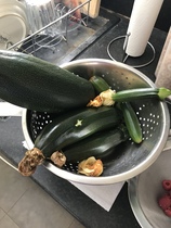 Allotment/Veg patch Thread 17 - onwards and upwards