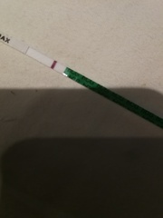 First Vue pregnancy tests?