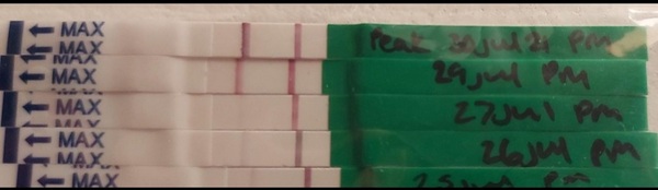 Advice on ovulation tests