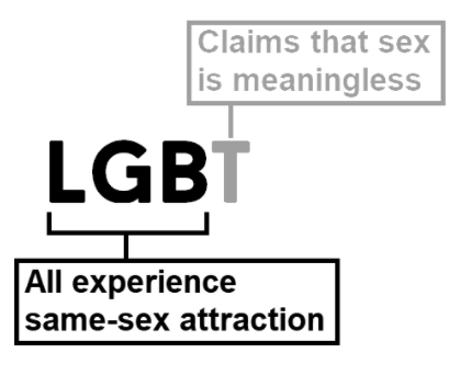 Do we have it anywhere on record that Stonewall does/does not support people to express their sexuality as exclusively homosexual?