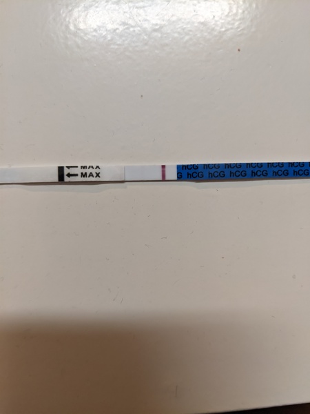 🦕 Catching up - ttc after miscarriage part 7 🦕