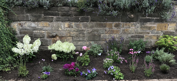 What should I plant?