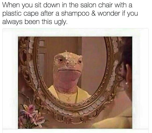 To hate the hairdressers?