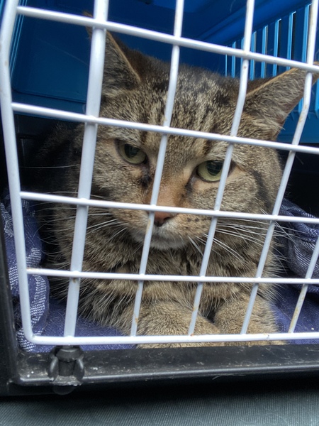 Would I July to you August Frugaleers