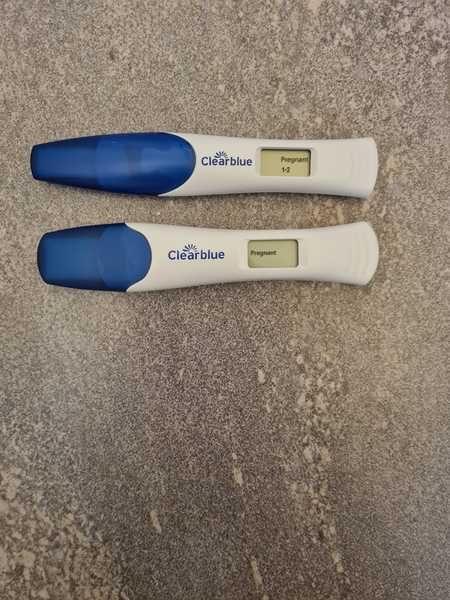 🦕 Catching up - ttc after miscarriage part 7 🦕