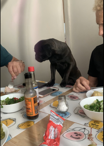 Working to thief!