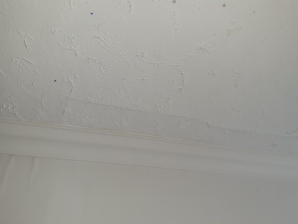Damp patch on wall. Roof work hasn't helped