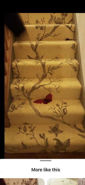 Plain or pattern carpet?