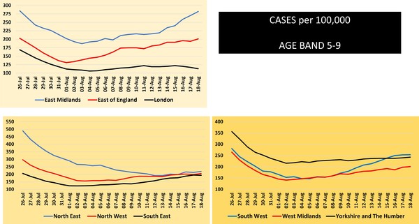 Data, Stats & Daily Numbers started 5th August 2021