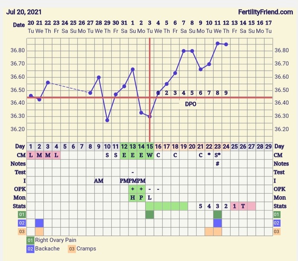 9DPO Symptom Spotting