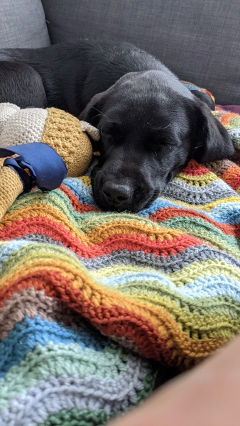 Knit, Crochet and Natter 5 - the roadmap to MORE YARN!