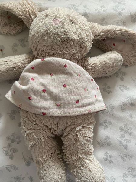 WANTED- Next bunny!