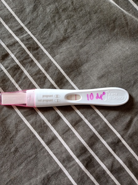 🐧 Penguin Huddle 🐧 Thread 36 - TTC after pregnancy loss