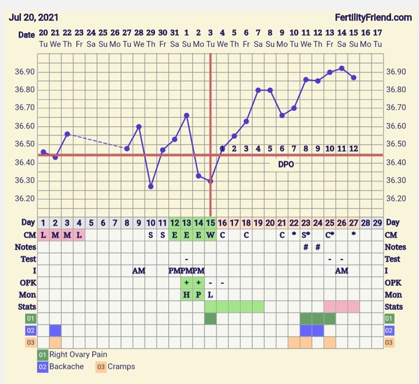 4 days of spotting but high temps? Any idea what's going on?