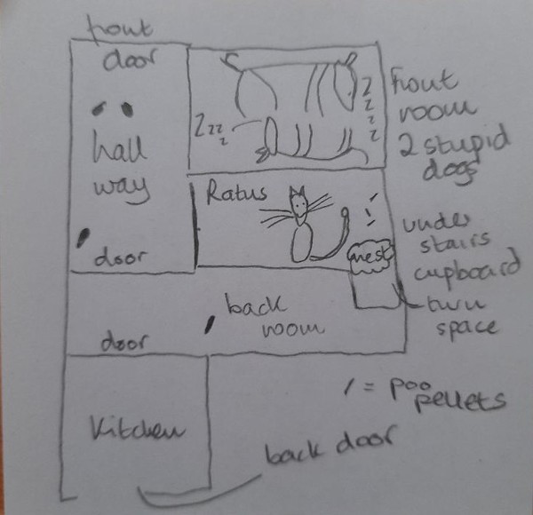 There's a moose loose aboot the hoose (with diagram)