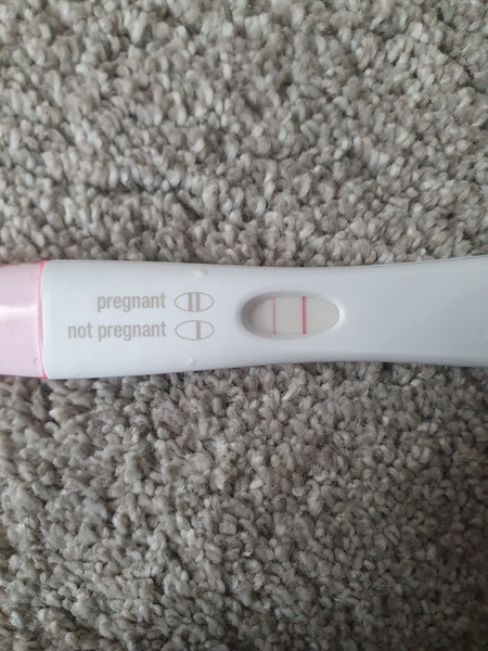IVF July/August 2021